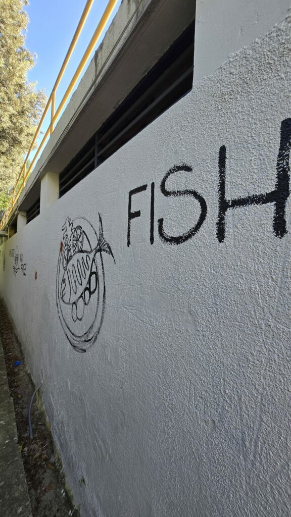 20241111 144956 scaled