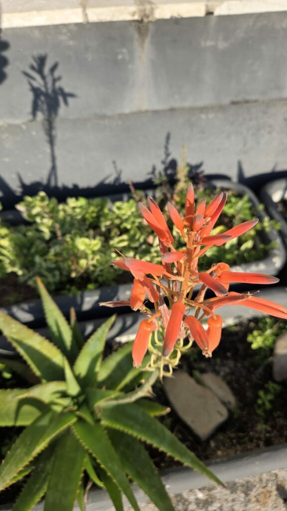 20241111 145240 scaled