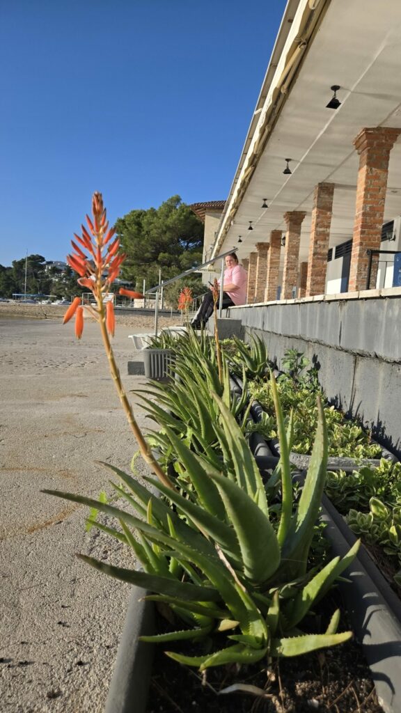 20241111 145258 scaled