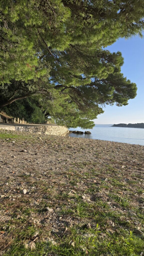 20241111 145404 scaled