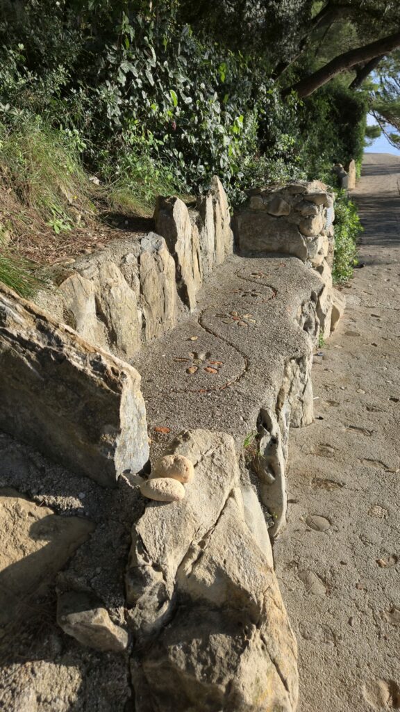 20241111 150355 scaled