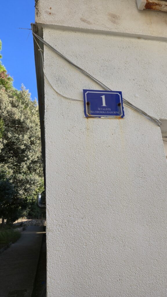 20241111 150848 scaled