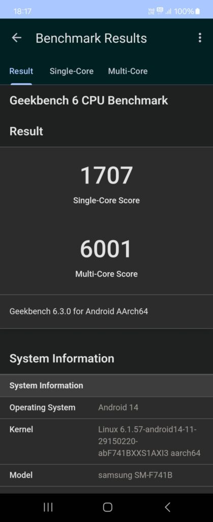 Screenshot 20241119 181755 Geekbench 6 scaled