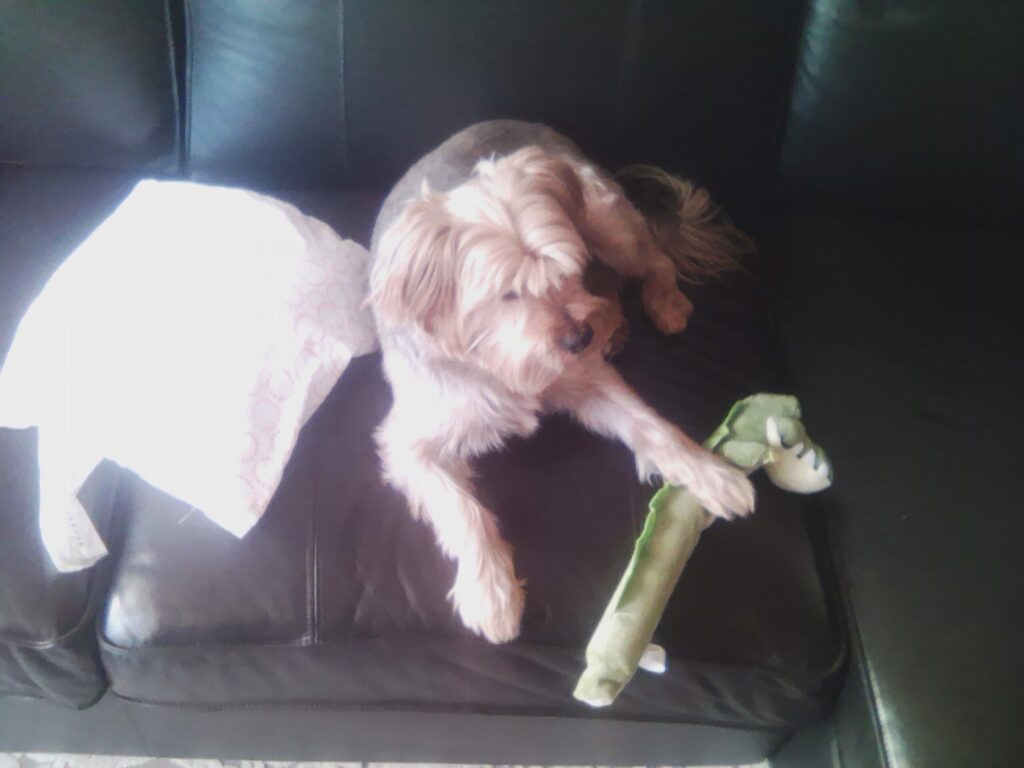 Meanit X50 tablet 1 scaled