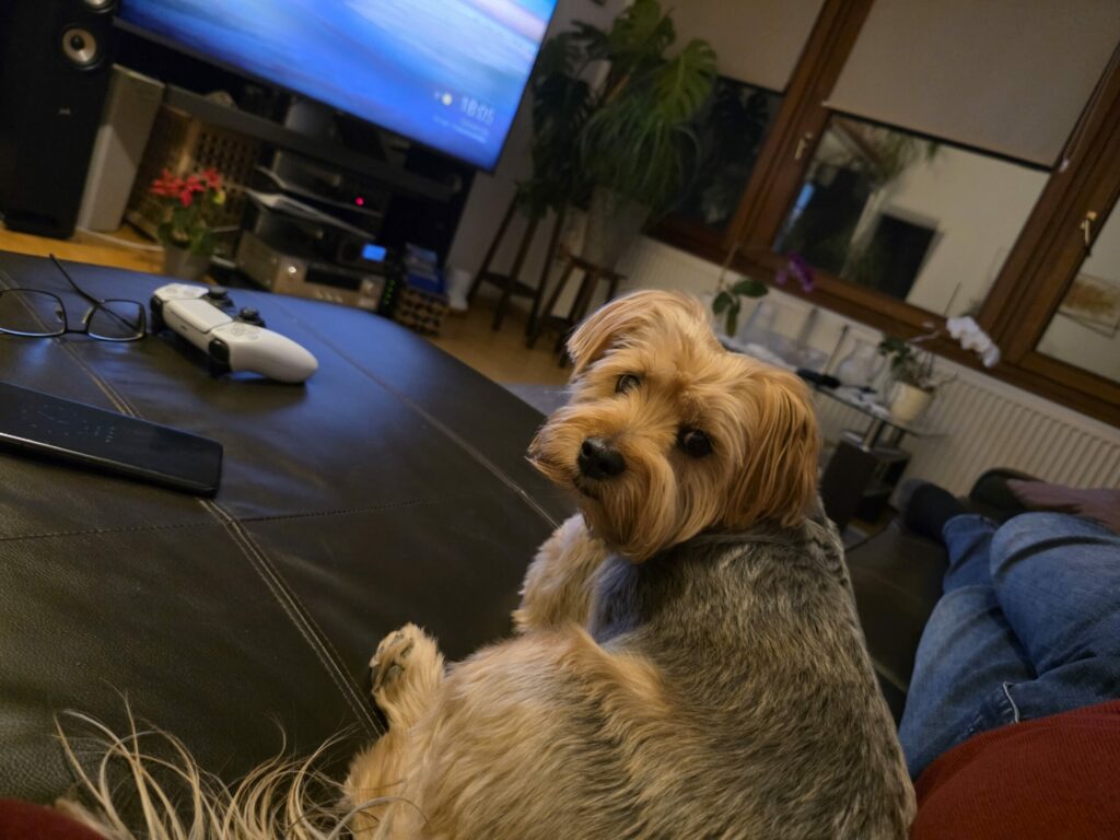 20250203 180427 scaled