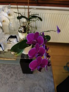 Redmi 14 PRo kamera 5 scaled