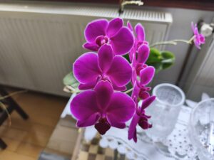 Redmi 14 PRo kamera 8