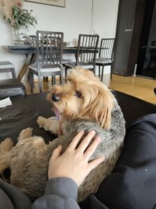 Redmi 14 Pro kamera 11 1 scaled