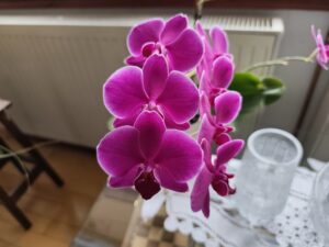 Redmi 14 Pro kamera 5 1