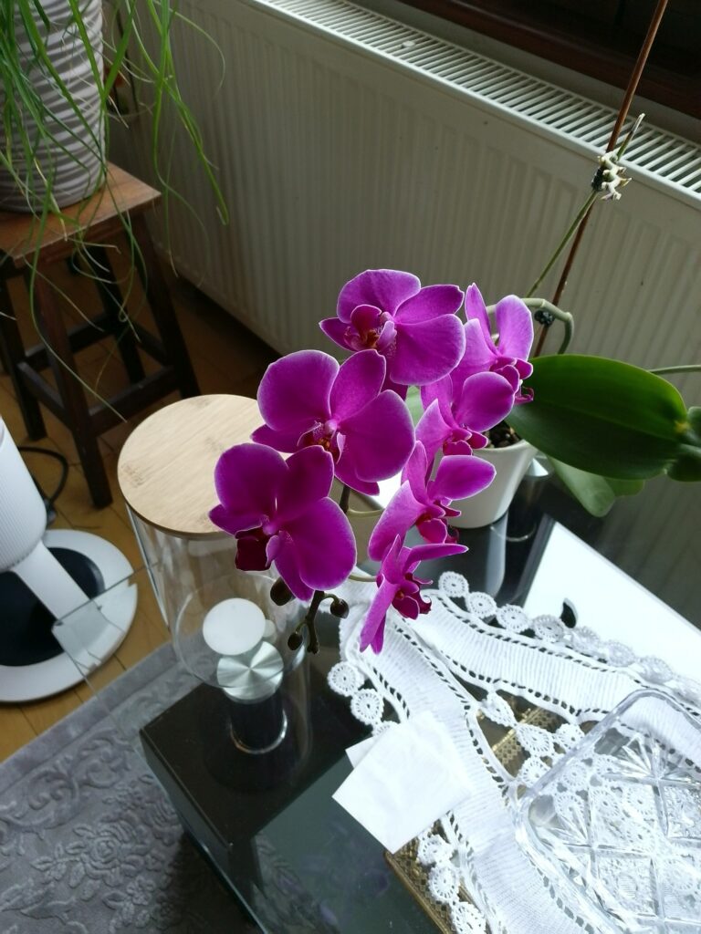 IMG 20250316 163012