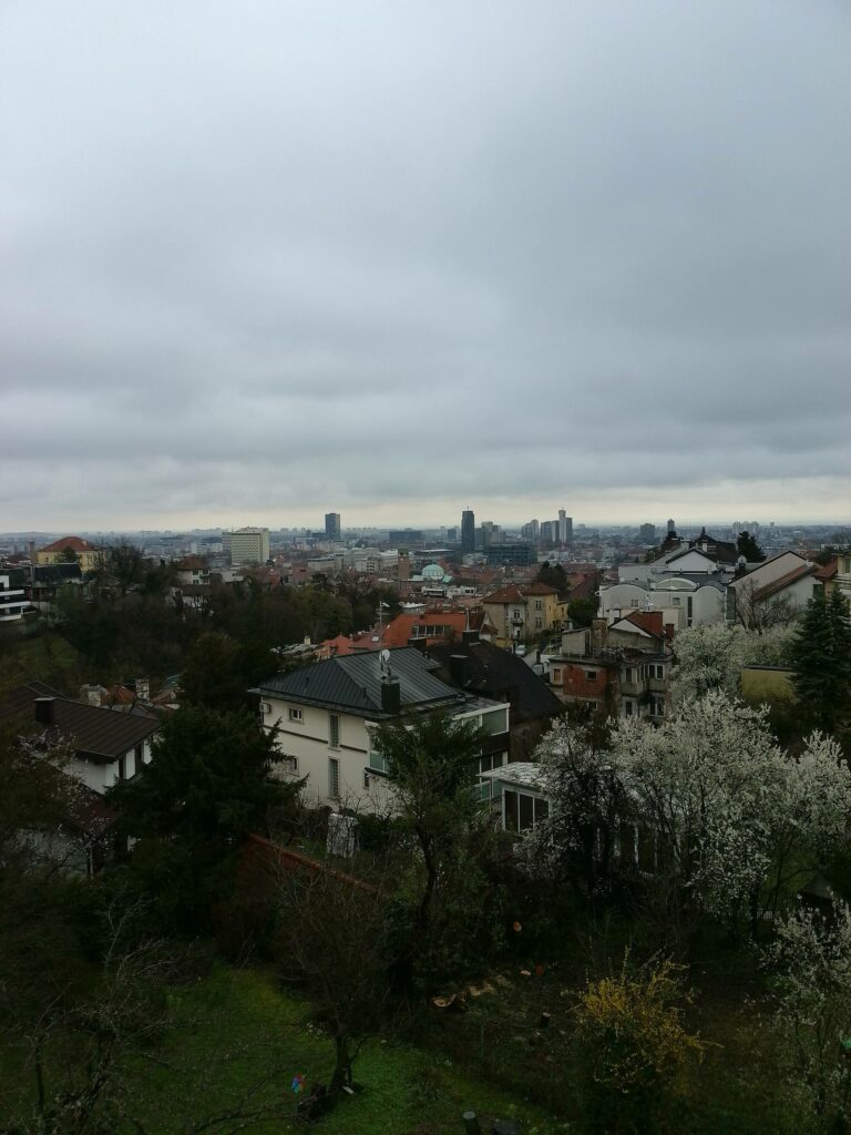 IMG 20250316 163038