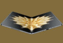 FF 15