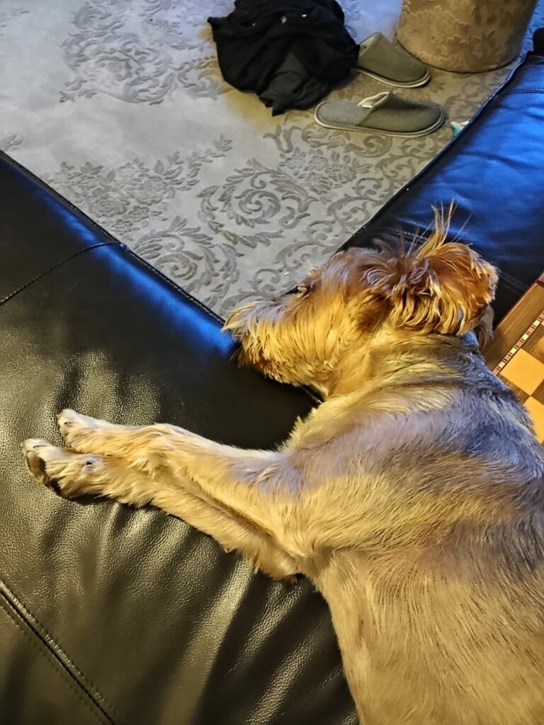 IMG 20251020 175251 scaled