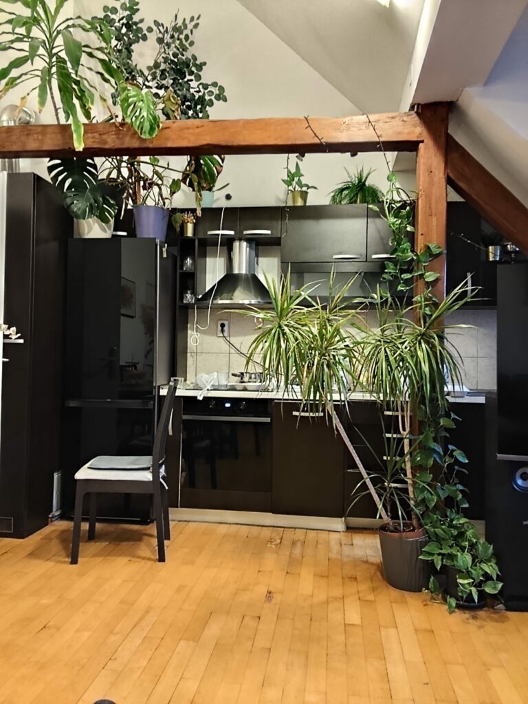 IMG 20251020 175258 scaled