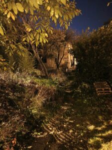 Xiaomi 15T Pro Kamera 12