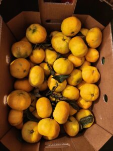 Xiaomi 15T Pro Kamera 3