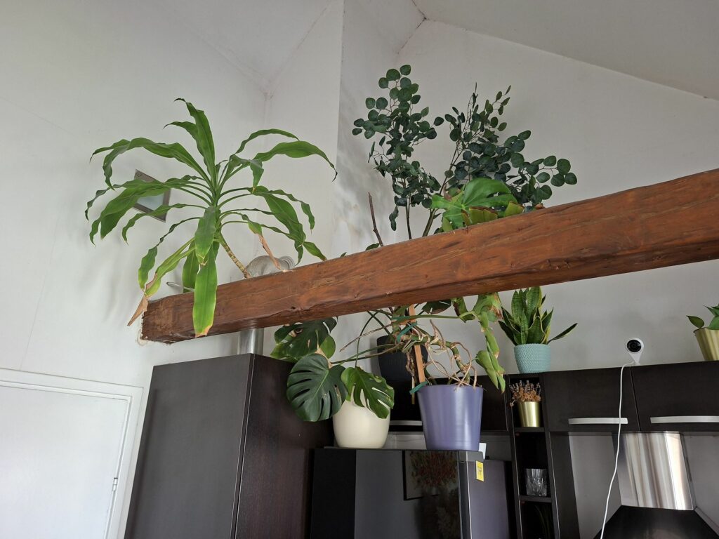 Galaxy A56 5G kamera 16