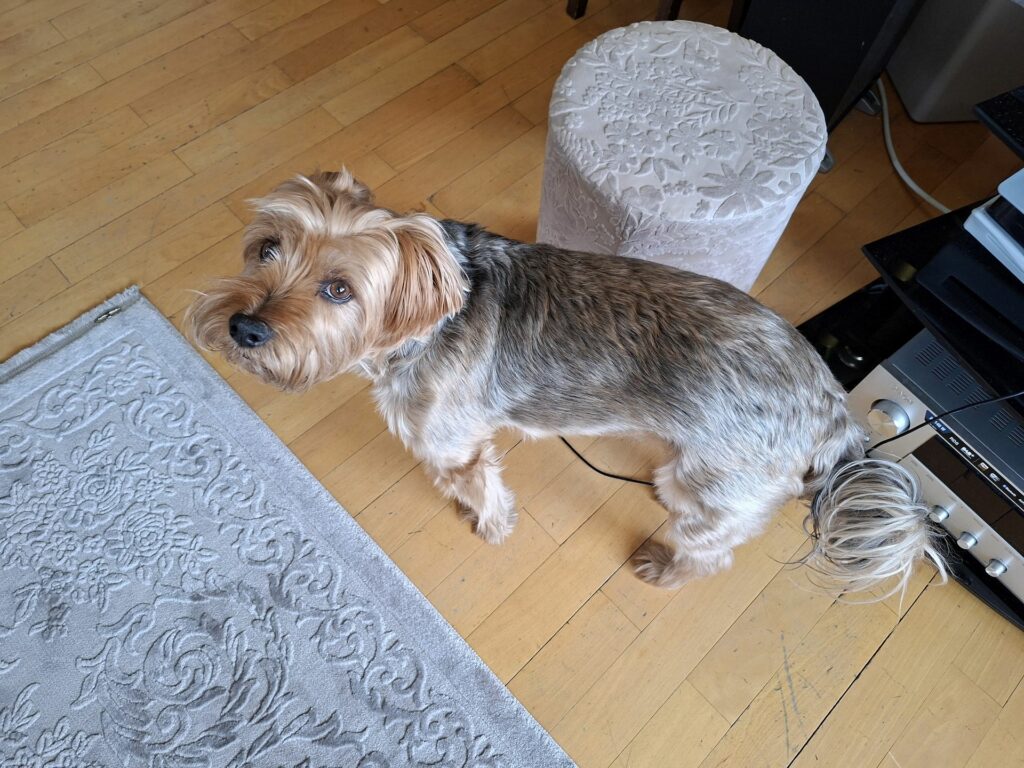 Galaxy A56 5G kamera 17