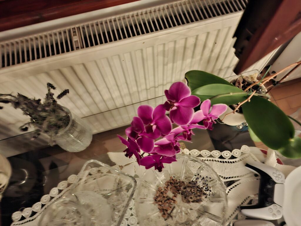 Galaxy A56 5G kamera 3