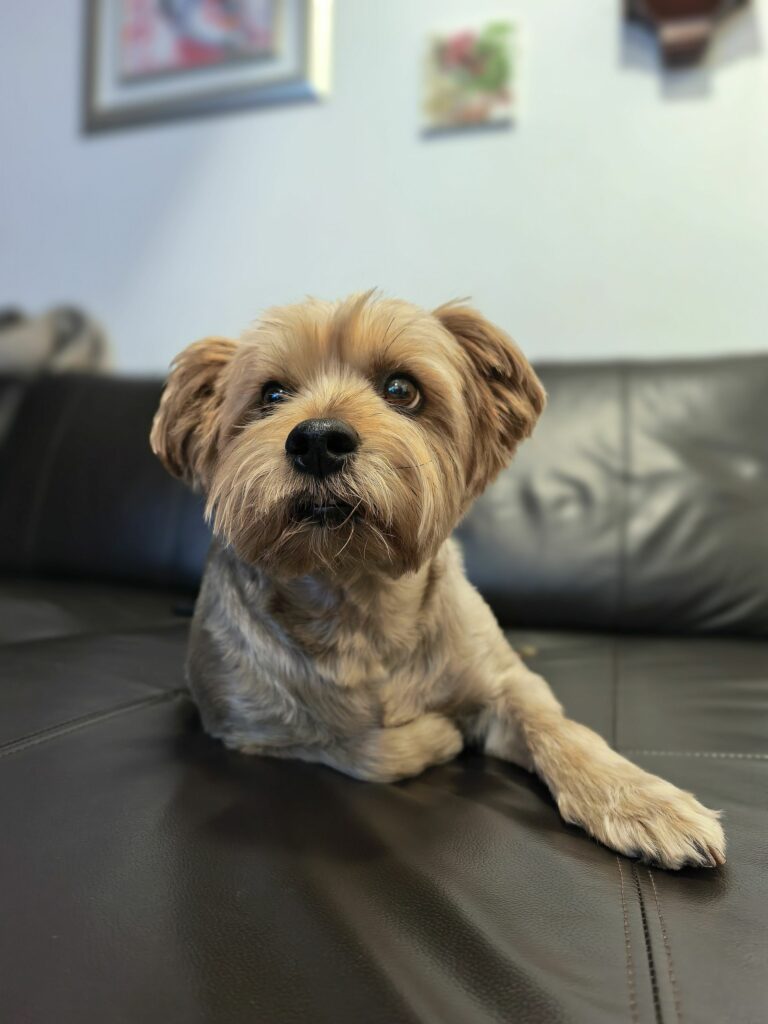 Huawei Pura 80 Pro kamera 1