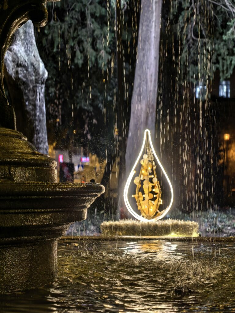 IMG 20251210 173647 scaled