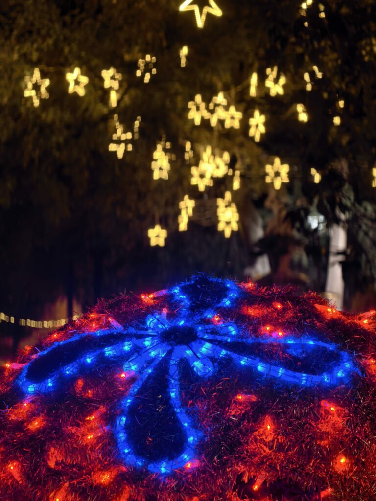 IMG 20251210 174029 scaled