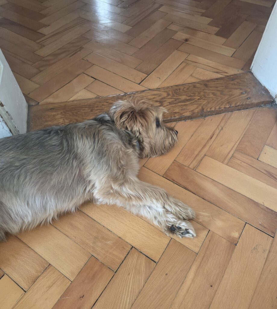 Z Fold 7 kamera 1 scaled