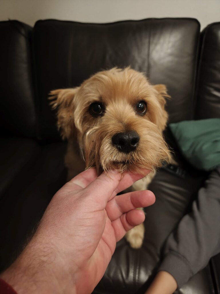 Redmi Note 15 pro kamera sample 1