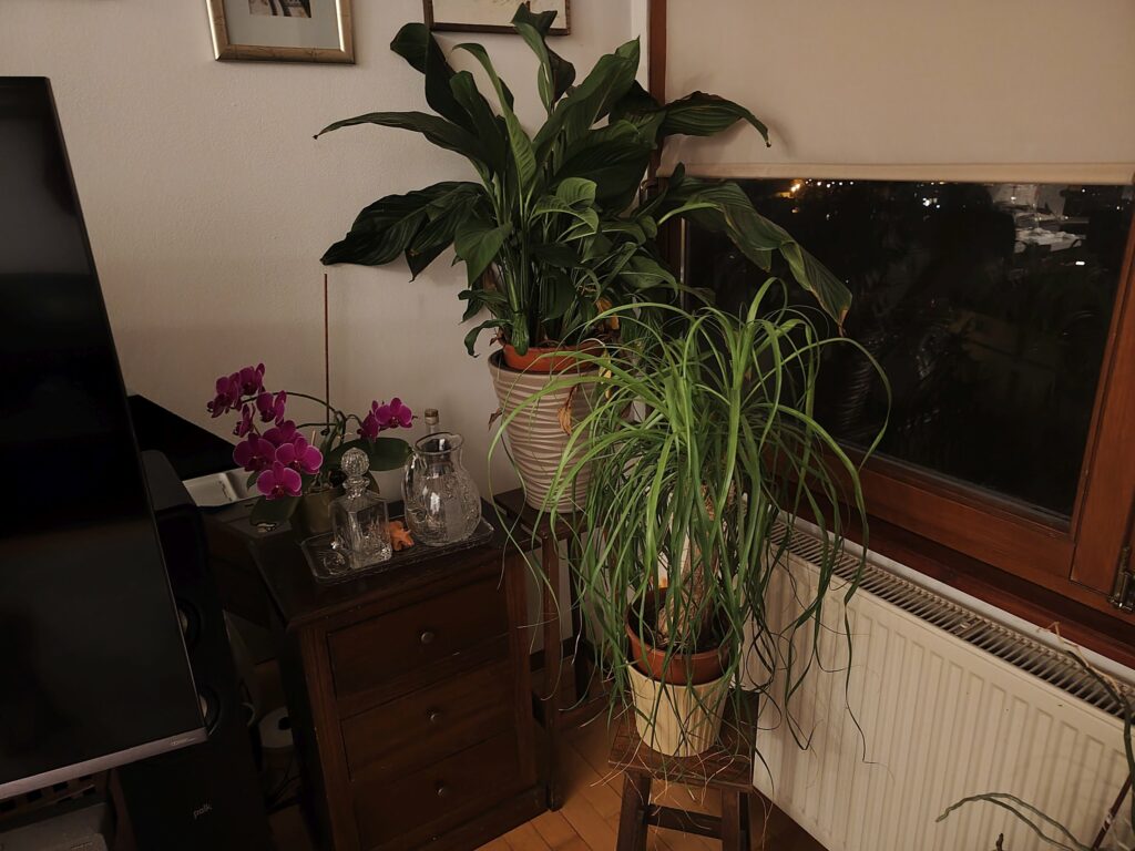 Redmi Note 15 pro kamera sample 6