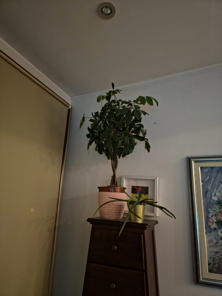 S25 Ultra raw vs original 1