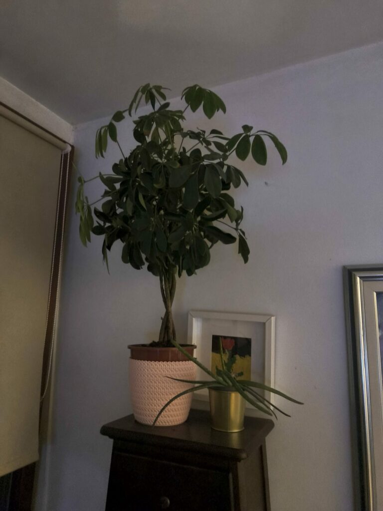 Samsung Galaxy Tab S11 12 rotated e1771874413988