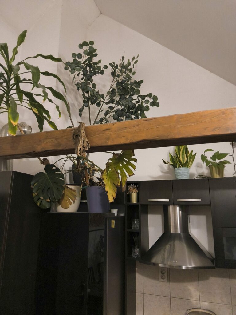 Samsung Galaxy Tab S11 13 rotated e1771874383116