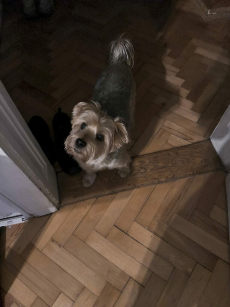 Samsung Galaxy Tab S11 7 rotated e1771874401139