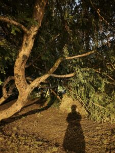 Xiaomi 17 Ultra kamera low light 7